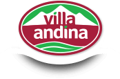 Logo - villa andina.png